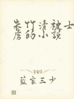 朱竹清被士兵俘虏的小说