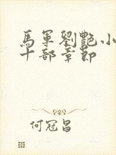 马军刘艳小说第十部章节封面