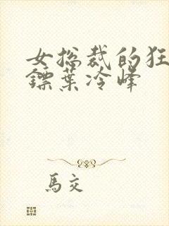 女总裁的狂龙保镖叶冷峰