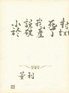 小说我死对头终于破产了txt