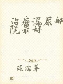 治疗漏尿哪个医院最好