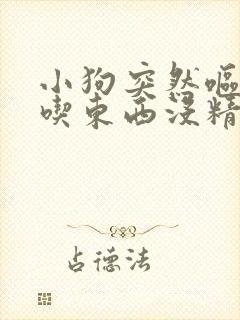 小狗突然呕吐不吃东西没精神怎么办