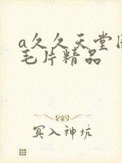 a久久天堂国产毛片精品