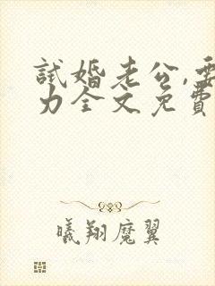 试婚老公,要给力全文免费阅读全文