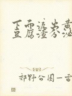 下面流出黄绿色豆腐渣分泌物是怎么回事