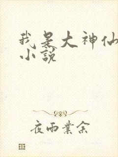 我是大神仙全本小说