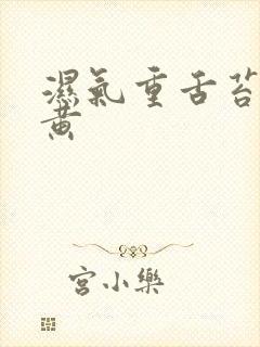 湿气重舌苔白厚黄