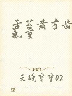 舌苔黄有齿痕湿气重