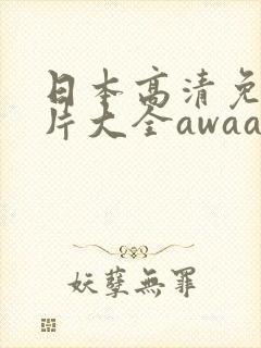 日本高清免费毛片大全awaaa