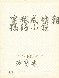 穿越成明朝皇太孙的小说