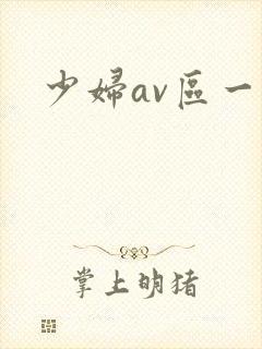 少妇av区一