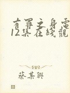 有罪之身电视剧12集在线观看