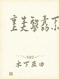 重生知青下乡考上大学的小说