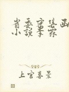 省委密集函官场小说李霖封面