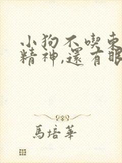 小狗不吃东西没精神,还有眼屎怎么办封面