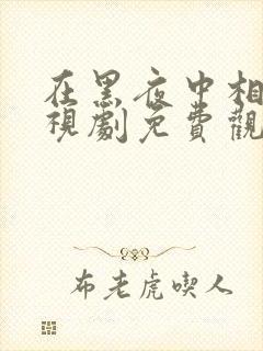 在黑夜中相拥电视剧免费观看完整版