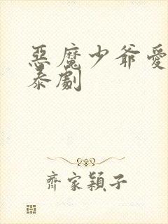 恶魔少爷爱上我泰剧