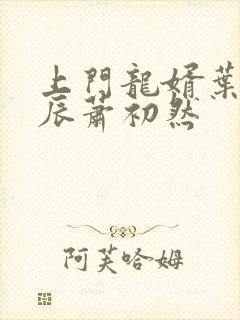 上门龙婿叶辰叶辰萧初然