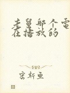 老舅哪个电视台在播放的