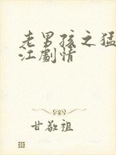 老男孩之猛龙过江剧情封面