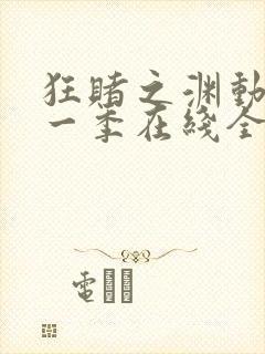 狂赌之渊动漫第一季在线全集免费观看