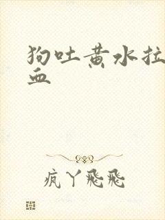 狗吐黄水拉稀便血