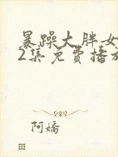 暴躁大胖女人42集免费播放电视剧