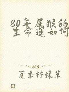 80年属猴的一生命运如何