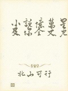 小说亿万星辰不及你全文免费阅读