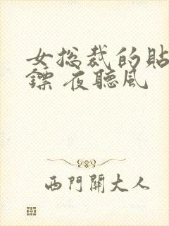 女总裁的贴身保镖 夜听风