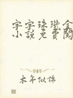 字字珠玑金银花小说免费阅读封面