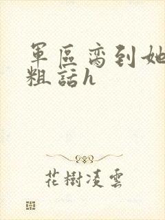 军区脔到她哭h粗话h