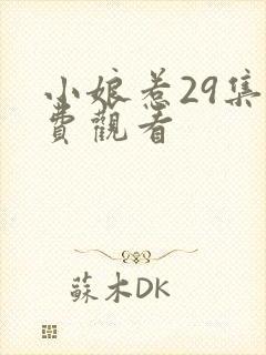 小娘惹29集免费观看