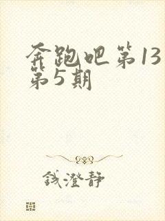 奔跑吧第13季第5期