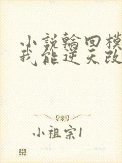 小说轮回模拟:我能逆天改命免费