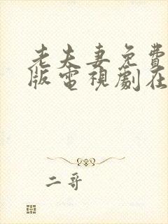 老夫妻免费完整版电视剧在线观看中