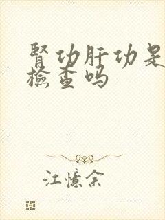 肾功肝功是抽血检查吗