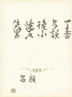 失忆后多了的前男友小说番外