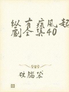 纵有疾风起电视剧全集40封面