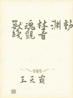 兽魂林渊动漫在线观看封面