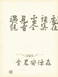 遇见电视剧免费观看全集在线播放