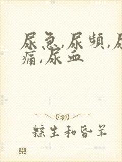 尿急,尿频,尿痛,尿血封面