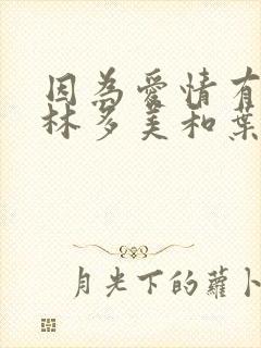 因为爱情有多美林多美和叶南迪封面