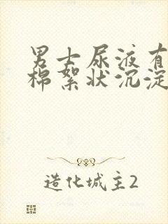 男士尿液有白色棉絮状沉淀物