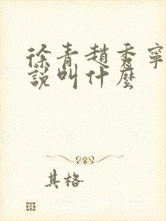 徐青赵秀宁的小说叫什么