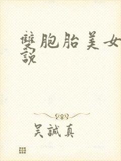 双胞胎美女 小说