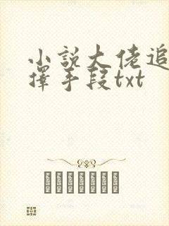 小说大佬追妻不择手段txt