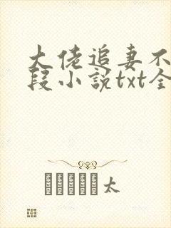 大佬追妻不择手段小说txt全文下载