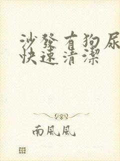 沙发有狗尿如何快速清洁