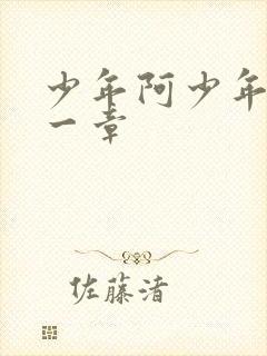 少年阿少年宾第一章